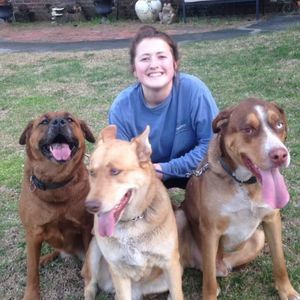 Meet your Posher, Chase